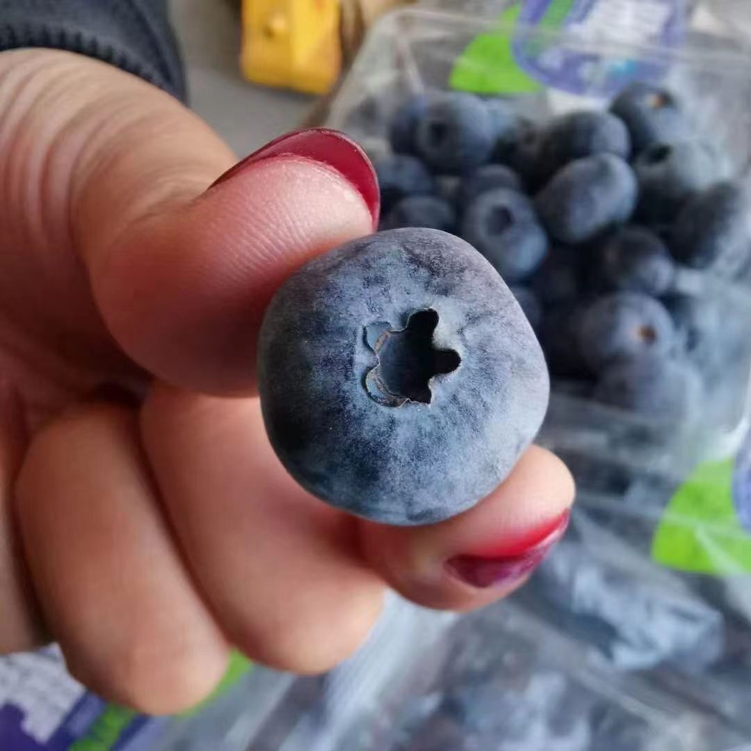 限北京 怡颗莓蓝莓 大果4盒1斤 秘鲁进口 酸甜可口