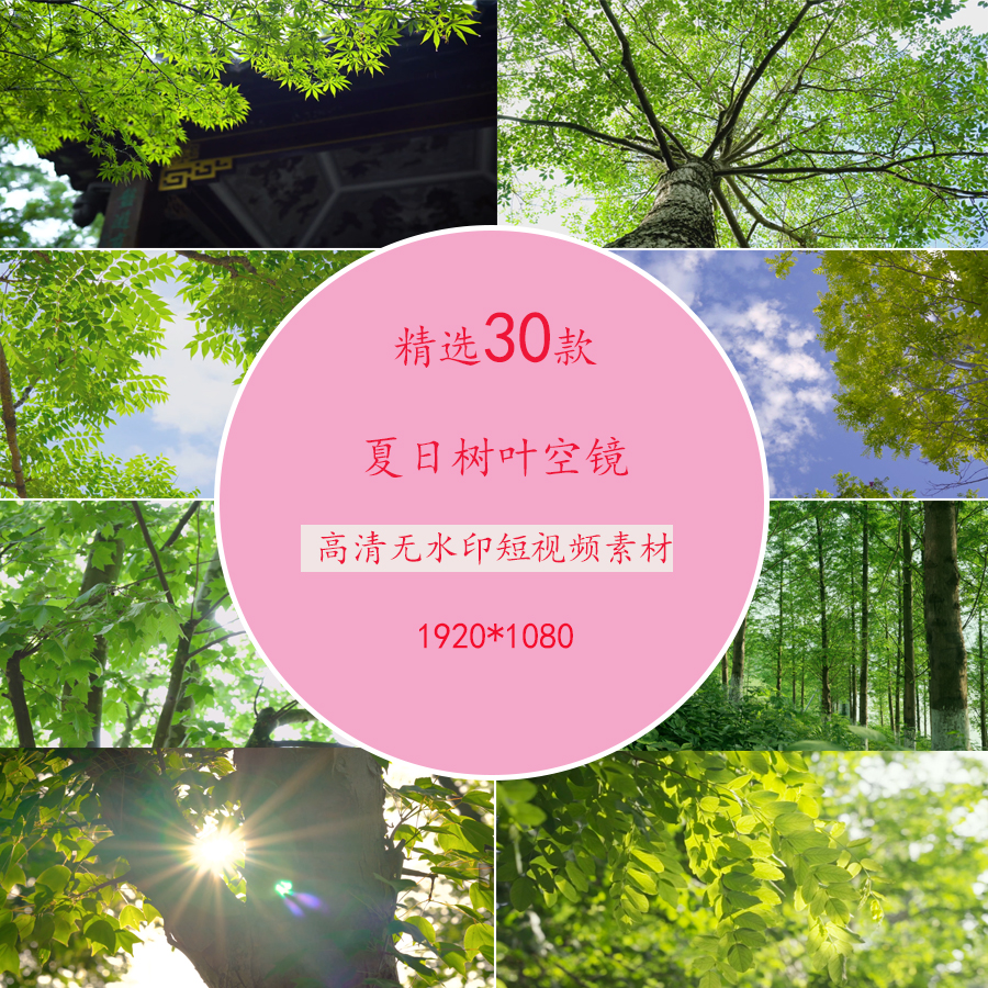 夏日阳光穿过树叶光影意境唯美空镜视频素材夏天绿色树叶自然风景