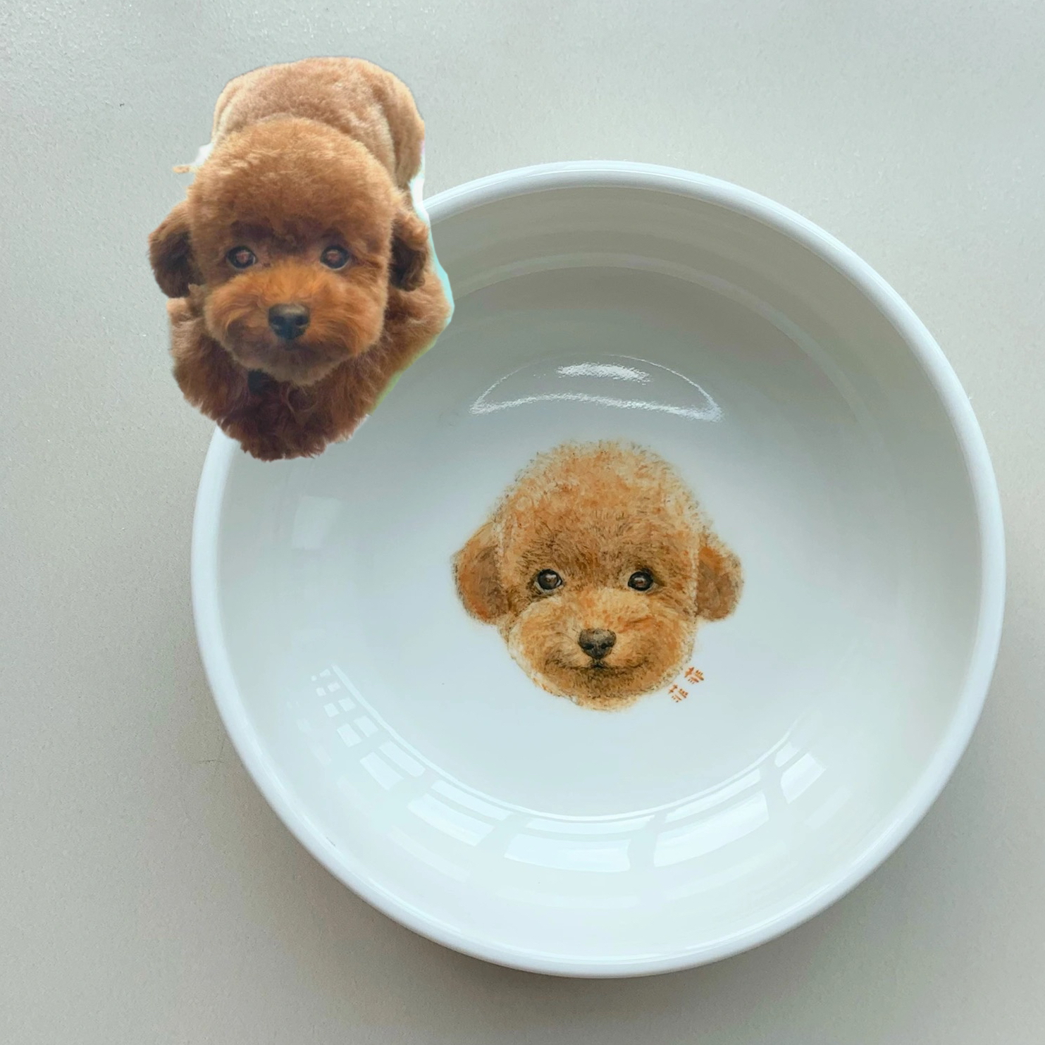 手绘照片宠物猫狗漫画头像一人一碗定制饭碗碟杯卡通陶瓷食盆茶杯