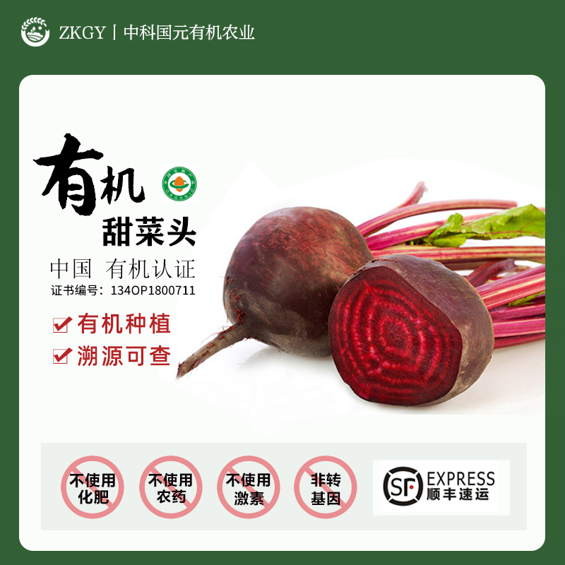 高原有机甜菜根®云南现挖新鲜红甜菜头红菜头当季蔬菜沙拉榨汁