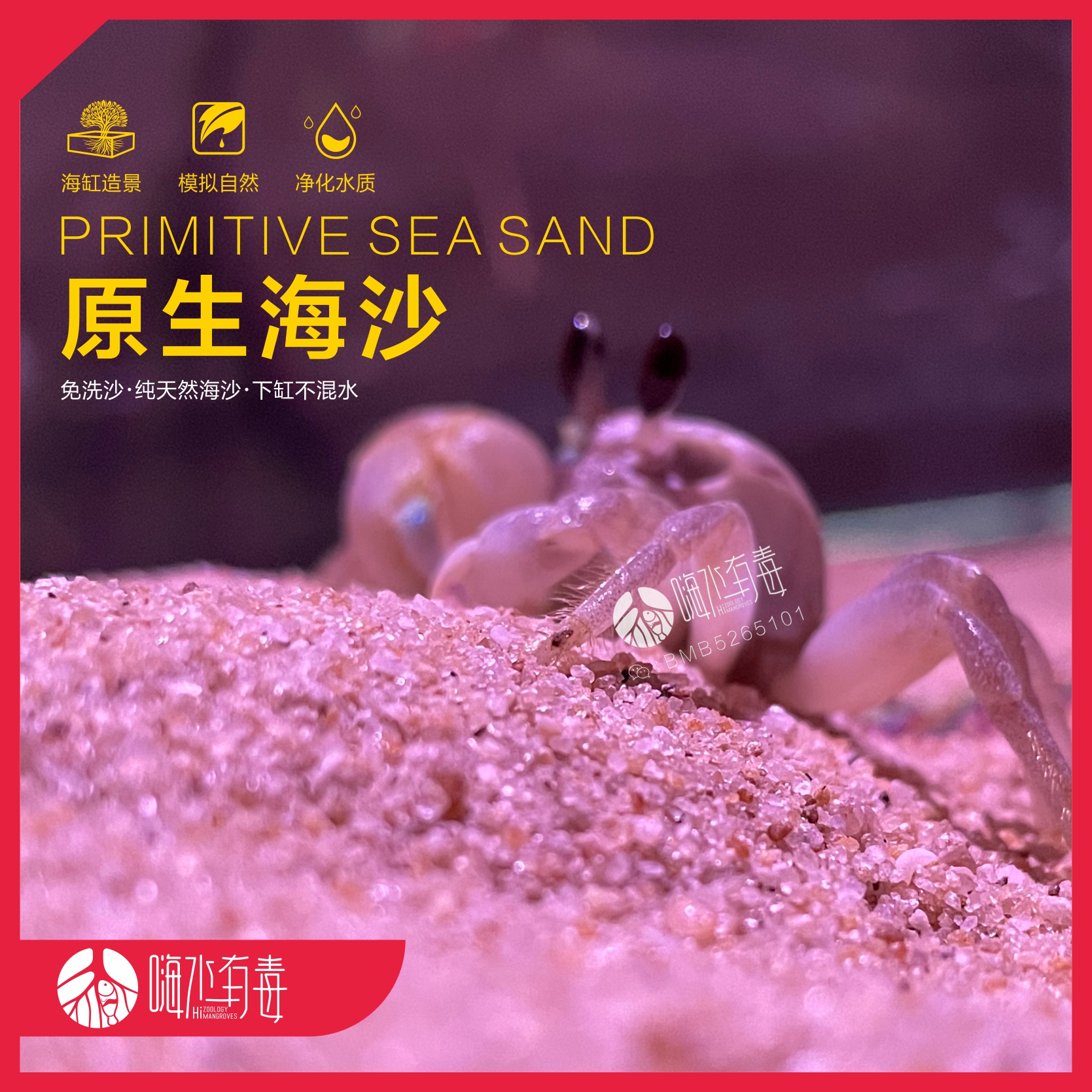 原生海沙 造景沙 天然海沙 鱼缸装饰 原生缸 红树培植沙 嗨水有毒
