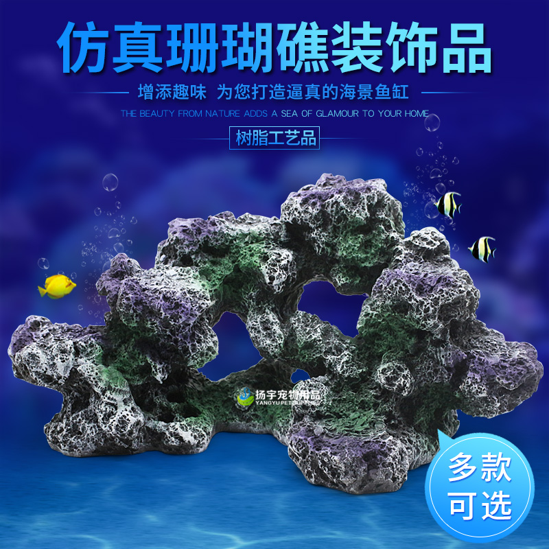 海底礁石珊瑚