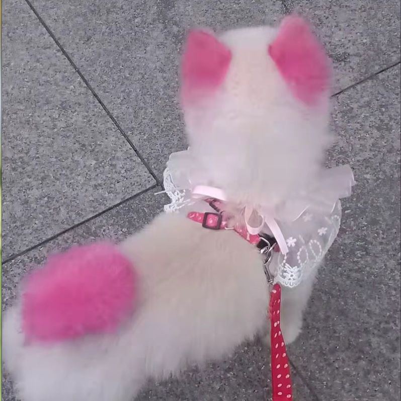 宠物染毛剂猫咪动物专用狗狗染发剂樱花粉红色橙色染色剂白色染毛