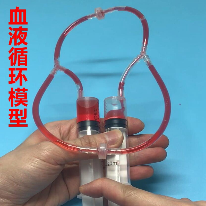 自制血液循环模型diy科技小制作小发明小学生科学实验组装玩具