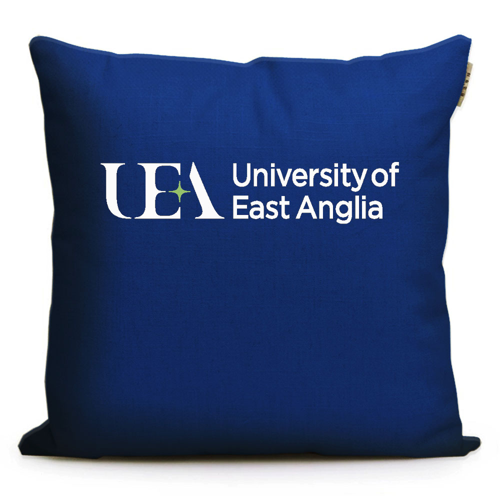 东英吉利大学东安格利亚周边沙发靠枕靠垫抱枕East Anglia纪念品