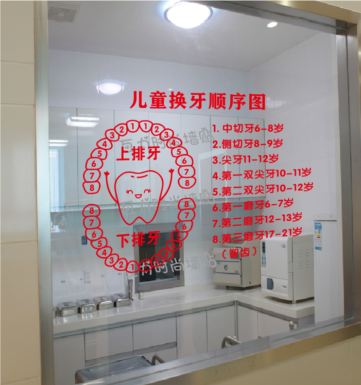 牙科诊所儿童换牙顺序图贴画口腔宣传爱牙日玻璃门橱窗墙贴装饰字