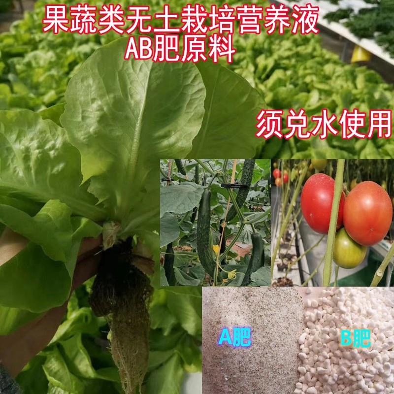 无土栽培叶菜生菜瓜果水培气雾培基质培西红柿草莓黄瓜营养液肥料