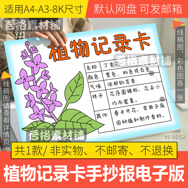 植物记录卡丁香花手抄报模板电子版三年级下语文手抄报黑白线描稿