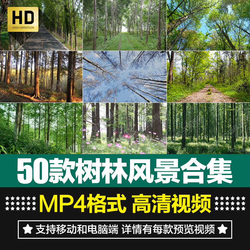 高清大自然风景原始森林阳光照射透过树林树木植物短片视频素材