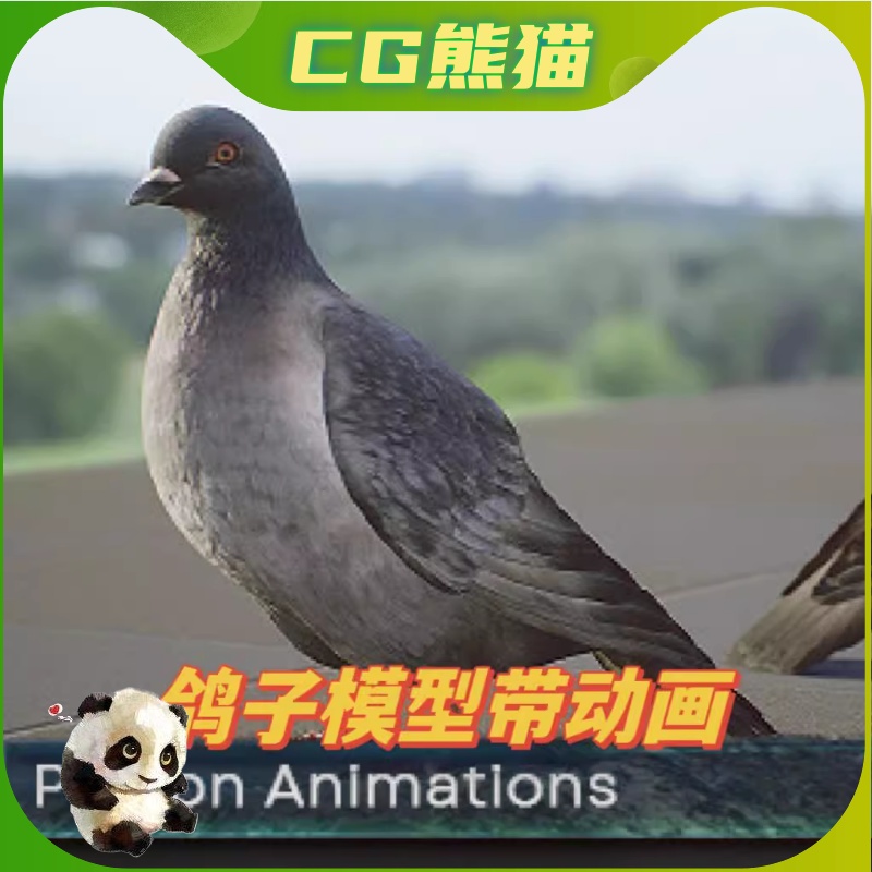 UE4虚幻5 Realistic 3D Pigeon Animations Pack 鸽子模型动画