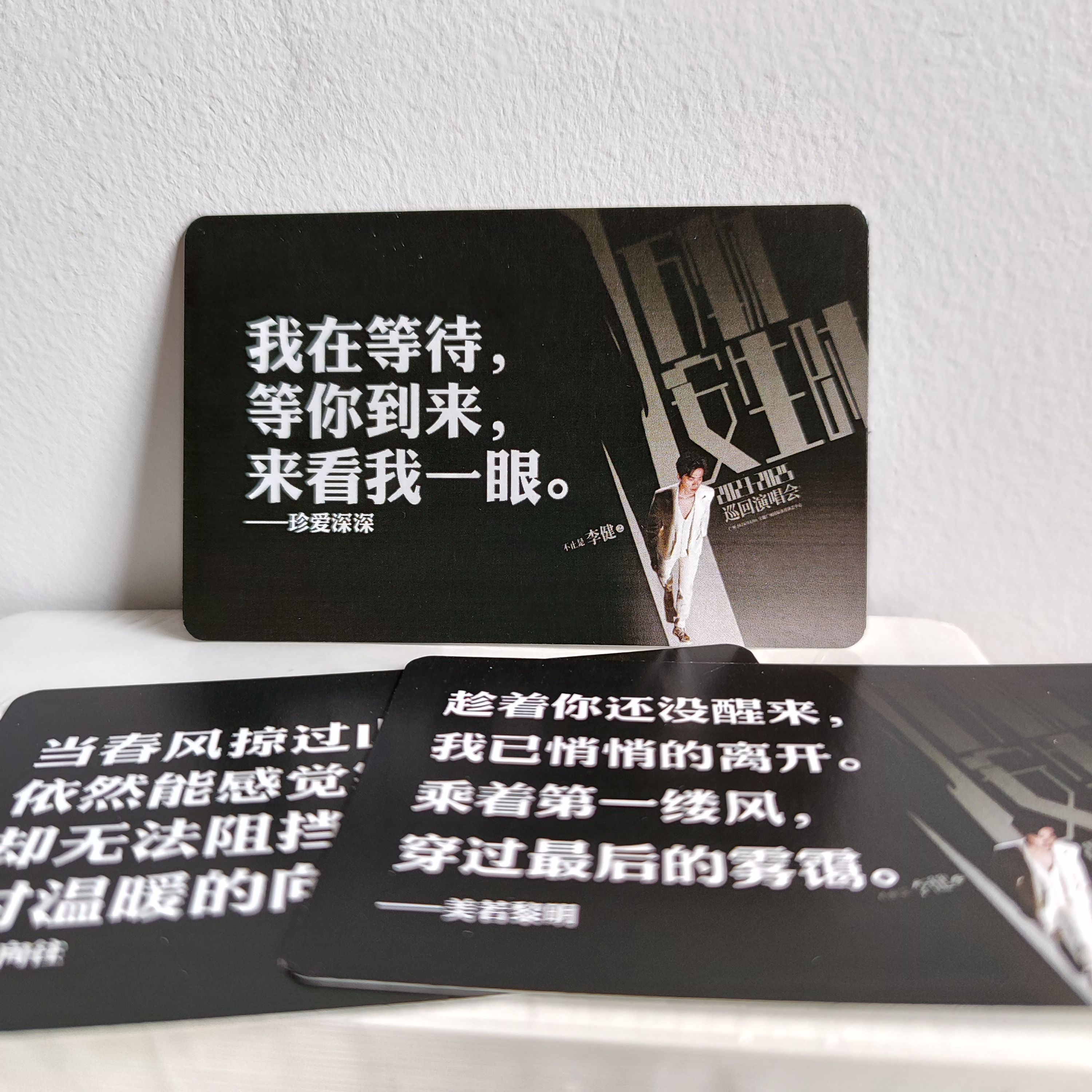 歌手李健演唱会应援周边小卡片30枚万物安生时创意文字歌词纪念品
