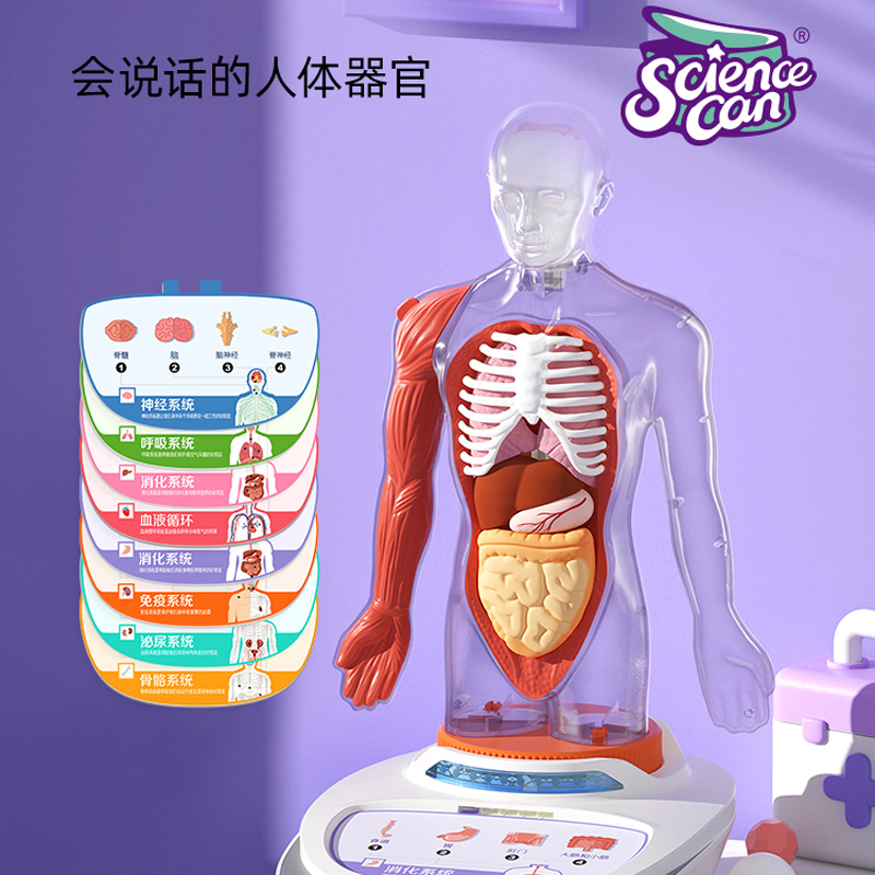 科学罐头身体语音百科玩具人体解剖模型器官可拆卸儿童节礼物男孩