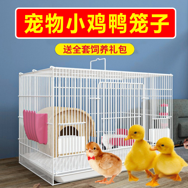 小鸭子专用笼子大号养小鸡柯尔鸭的笼家用室内装芦丁鸡别墅房子窝