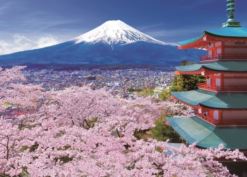 现货 日本EPOCH进口益智拼图 樱花下的富士山和五重塔500片1000片