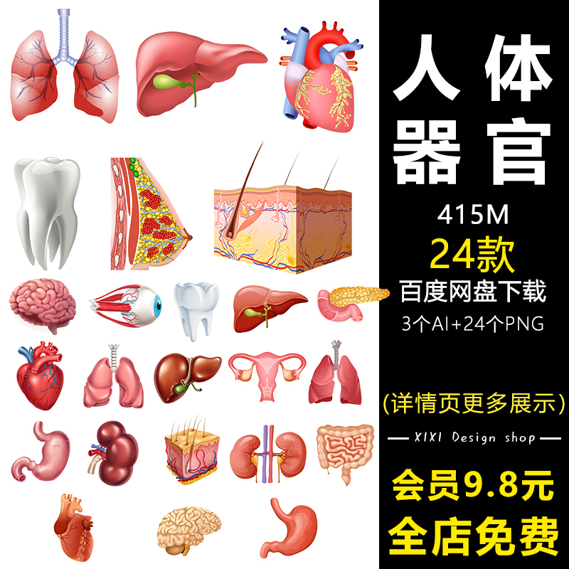 QT09卡通人体器官内脏肺心肝脏PNG免抠图片肺器官医疗插图PS素材