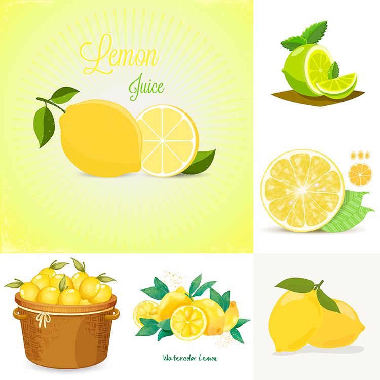 柠檬插画 夏季清新手绘水果果实海报背景 AI格式矢量设计素材