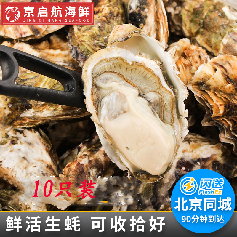 可发货 北京闪送 10只装 大小号 鲜活生蚝牡蛎海蛎子威海特产
