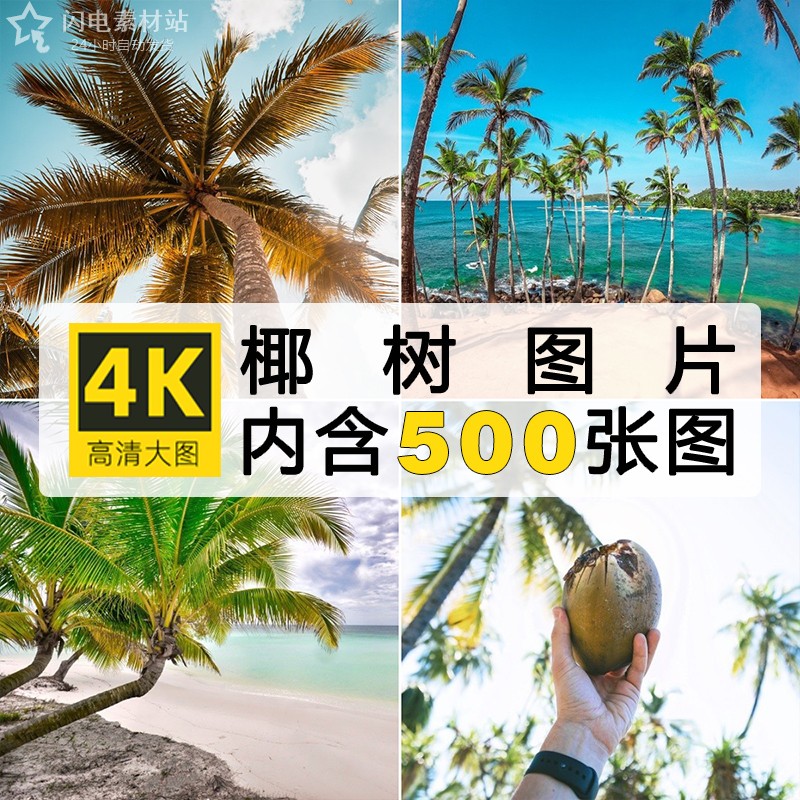 高清自然风景海滩沙滩碧海棕榈椰树设计喷绘打印合成素材JPG图片