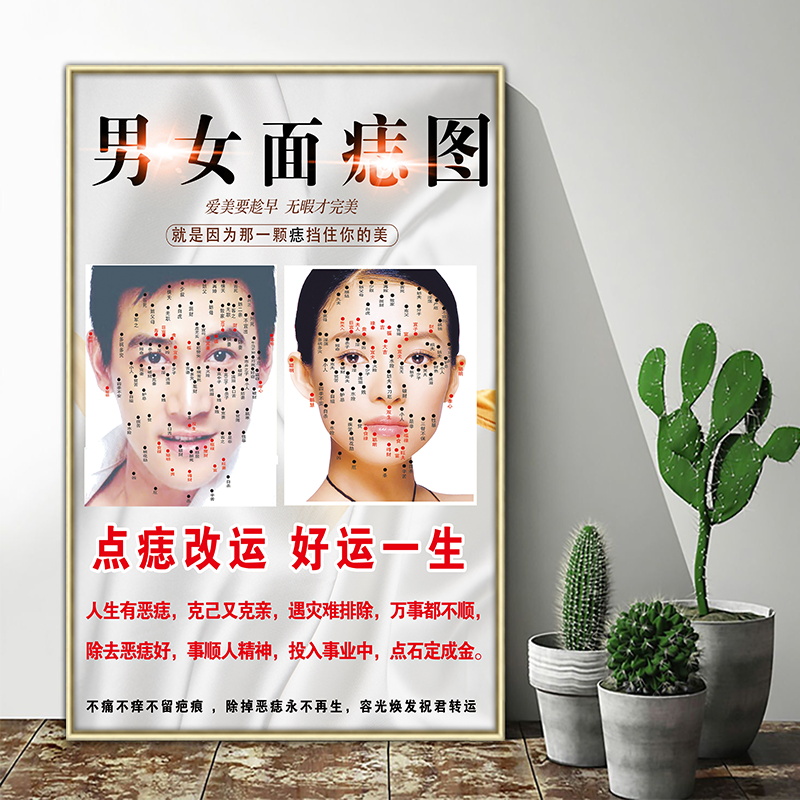 男女面痣图祛斑痘坑痣疤痕相宣传海报脸部护肤美容院墙壁装饰挂画