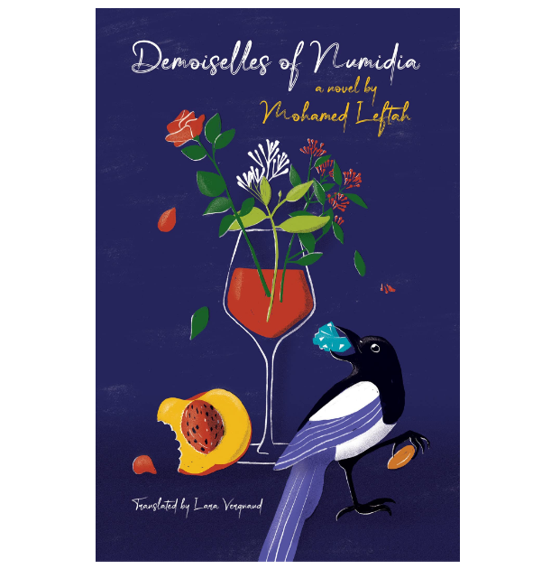 【预售】英文原版 Demoiselles of Numidia 努米迪亚的少女 Mohamed Leftah 富有诗意的散文描述了肮脏的现实文学小说书籍