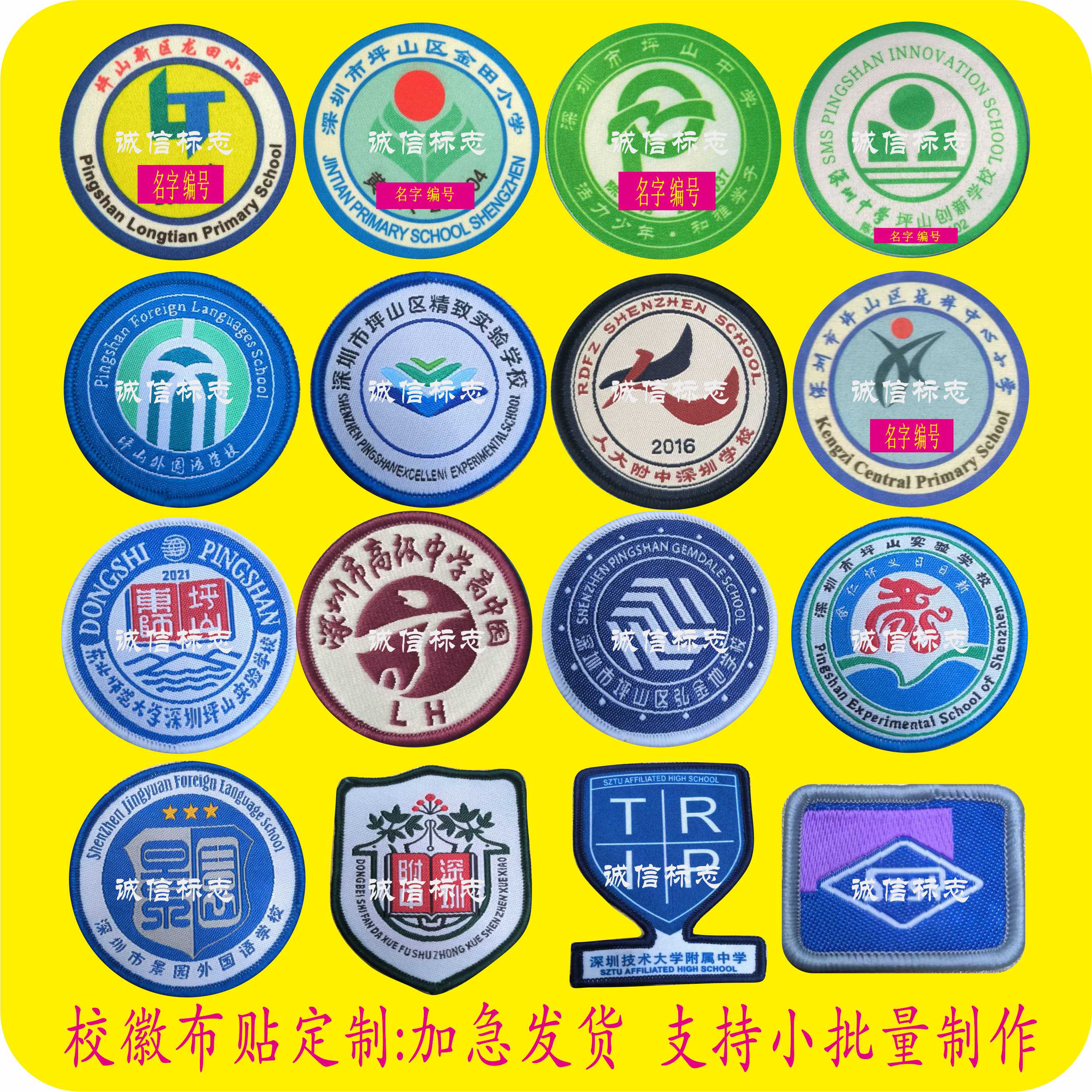 深圳实验学校logo