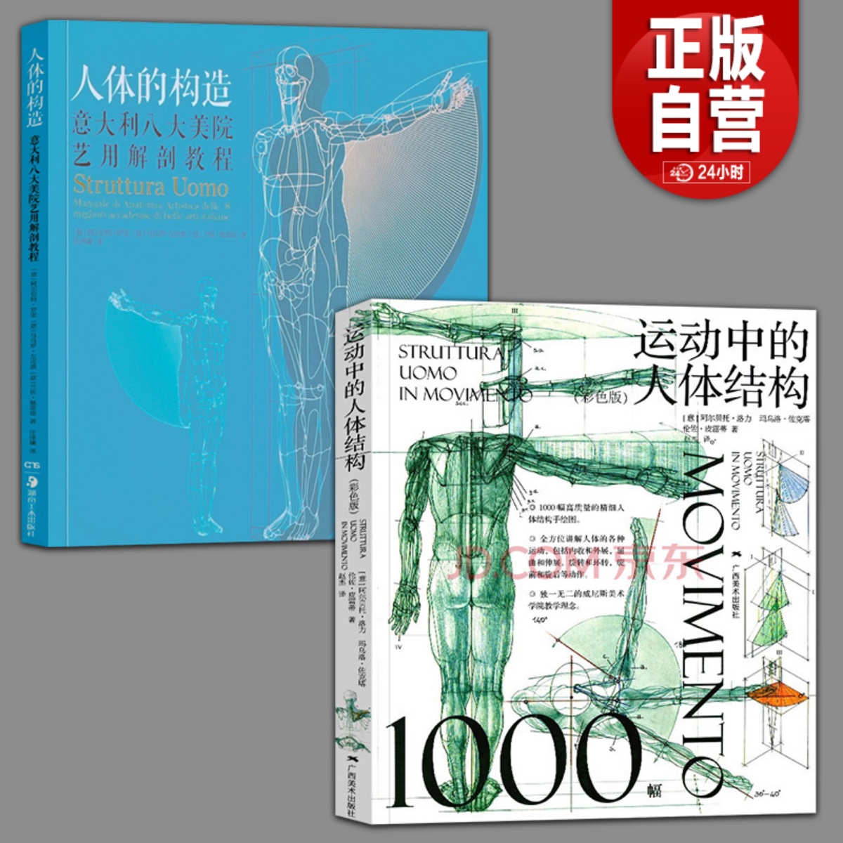 2册  运动中的人体结构彩色版+人体的构造意大利八大美院实用素描解剖教程美术素描绘画教程书籍人物素描临摹基础技法书籍