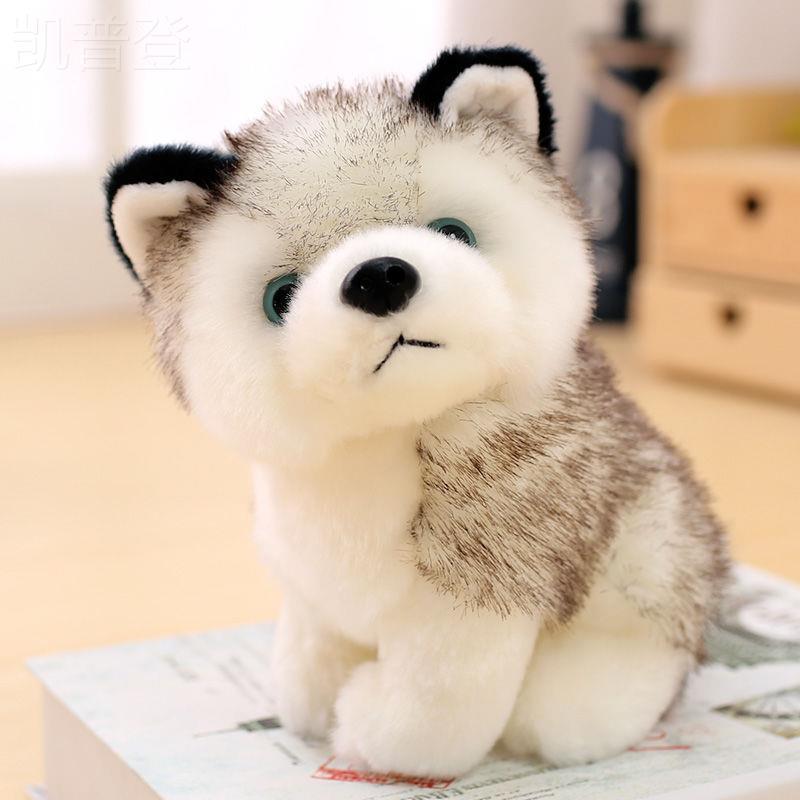 抱枕模型名犬阿拉斯加金毛玩偶小型可爱的中号娃娃公仔女朋友狗子