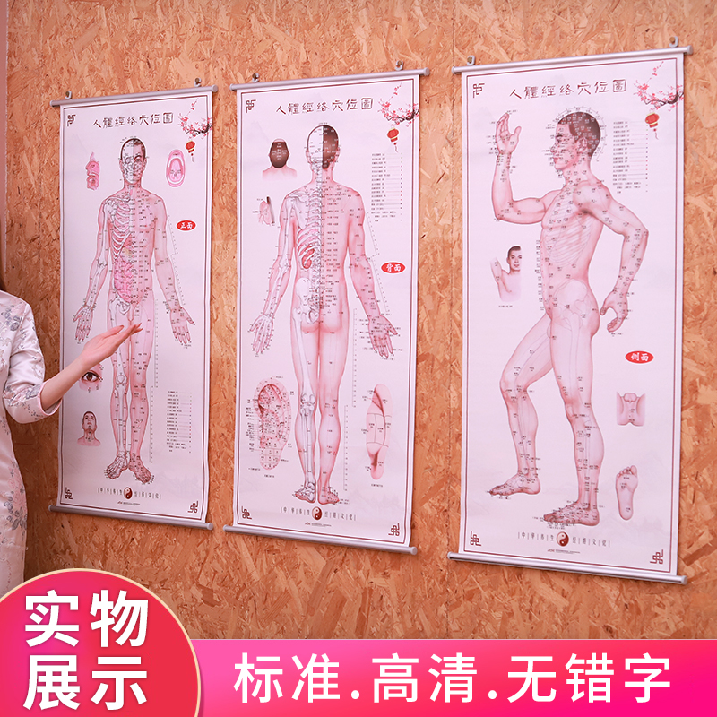 中医人体经络穴位图大挂图养生馆宣传画针灸海报全身推拿背部图解