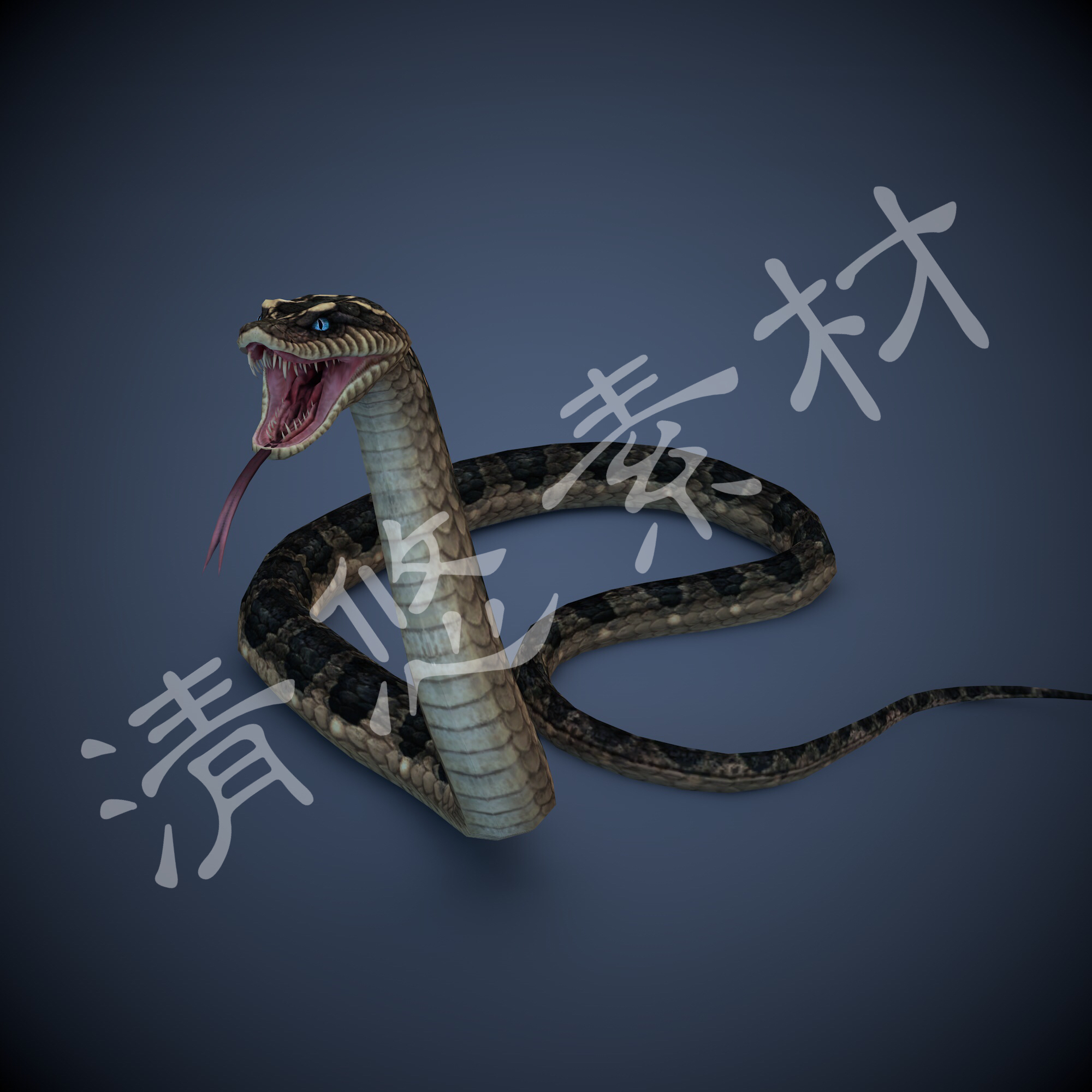 3dmax c4d蛇模型 爬行动物 毒蛇 虫类骨骼绑定动画fbx格式 269