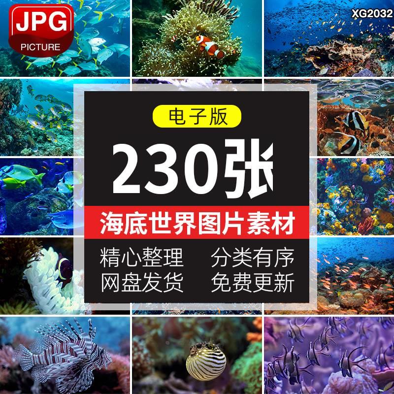 海底世界鱼群海洋生物动物植物珊瑚礁石水草深海水底JPG图片素材