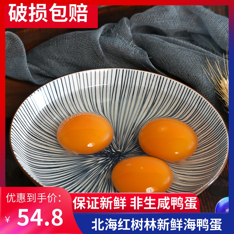 广西北海生鸭蛋新鲜红心30枚大土鸭蛋正宗特产北部湾红树林海鸭蛋