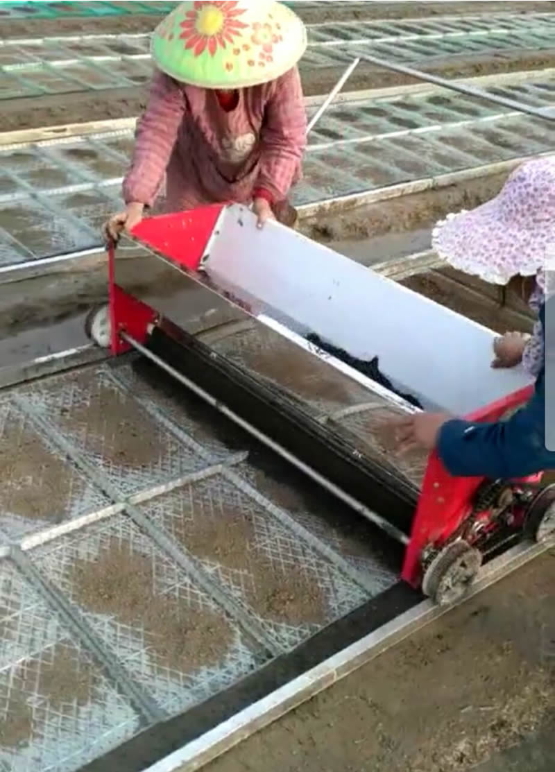 水稻秧盘播种器