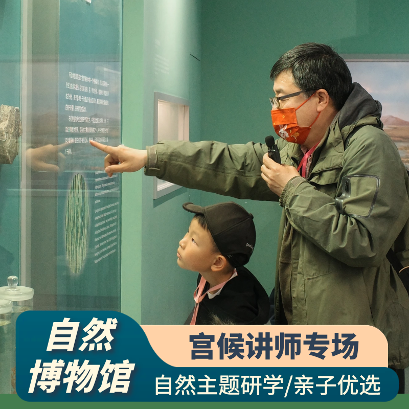 北京宫候旅行-国家自然博物馆 金牌老师3小时亲子研学小团