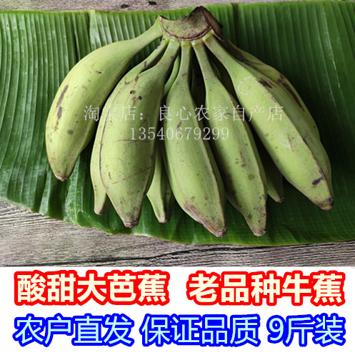 广西大芭蕉新鲜水果牛蕉牛角蕉广东芭蕉大蕉酸甜芭焦酸香蕉巴焦