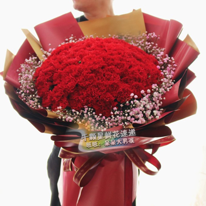 99枝红色康乃馨花束外搭配粉色满天星老人生日祝寿鲜花喜庆红色花
