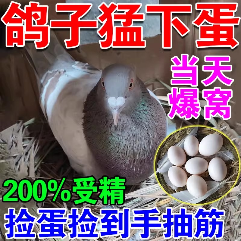【蛋多多增蛋宝】家禽母鸡专用增产饲料鸡下蛋药鸡鸭鹅催蛋素通用