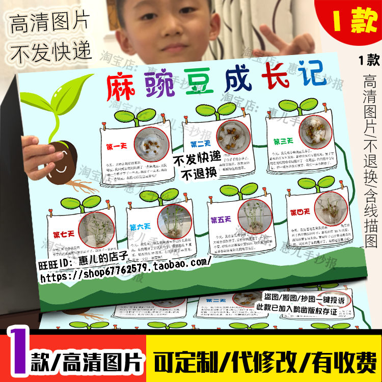 自然笔记麻豌豆成长记手抄报植物生长记录表观察日记电子小报简报