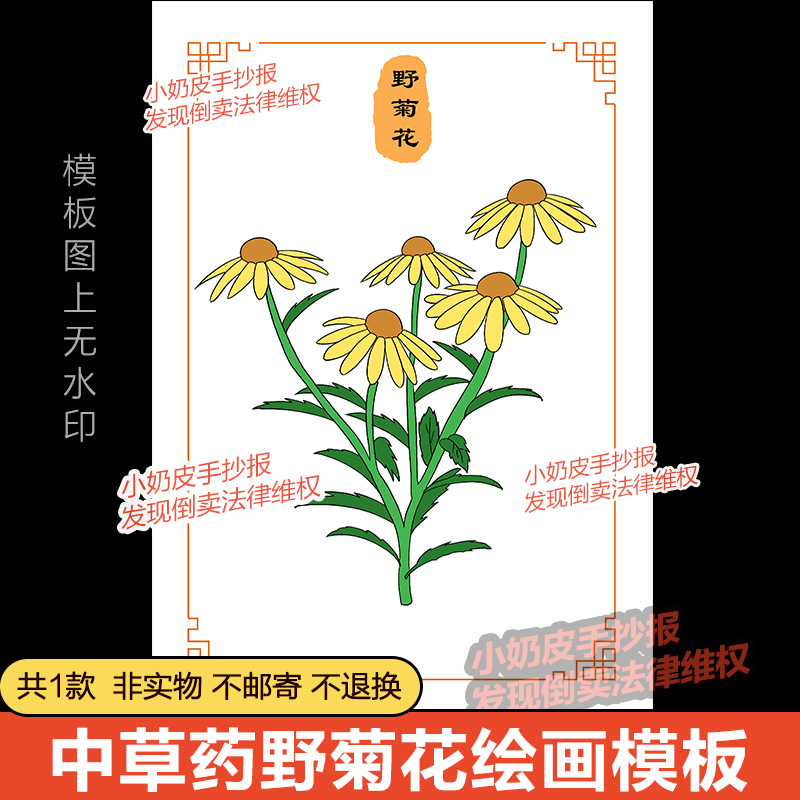 中国神奇的中草药野菊花主题画漫画绘画黑线稿电子版自制卡片涂色