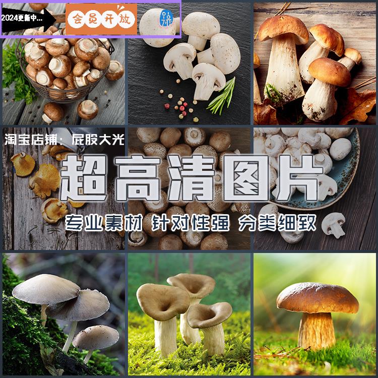 超大超高清图片蘑菇香菇干平菇野生菌食用菌菇类食物食材蔬菜素材