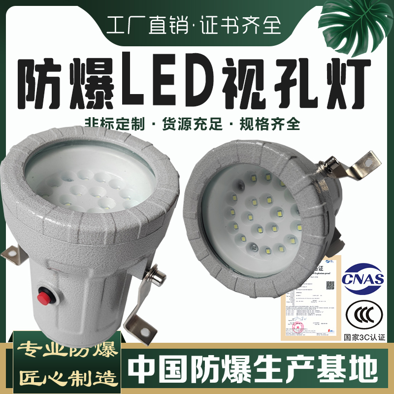 防爆视孔灯BSD96化学容器LED视孔灯12V24V36V220V反应釜视镜灯