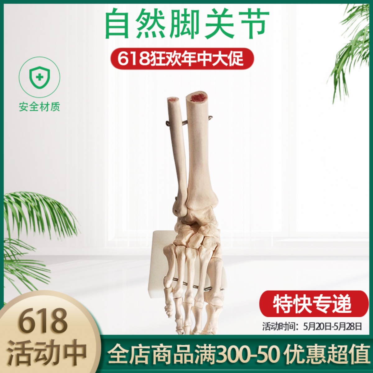 脚关节模型脚骨模型脚部骨骼构造模型足部踝关节腓骨趾骨结构教学