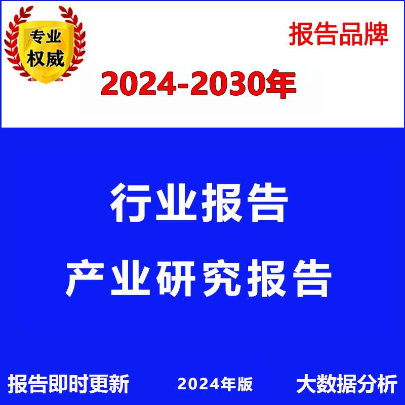 2024-2030年行研行业研究报告 分析市场调研调查咨询前瞻投资报告