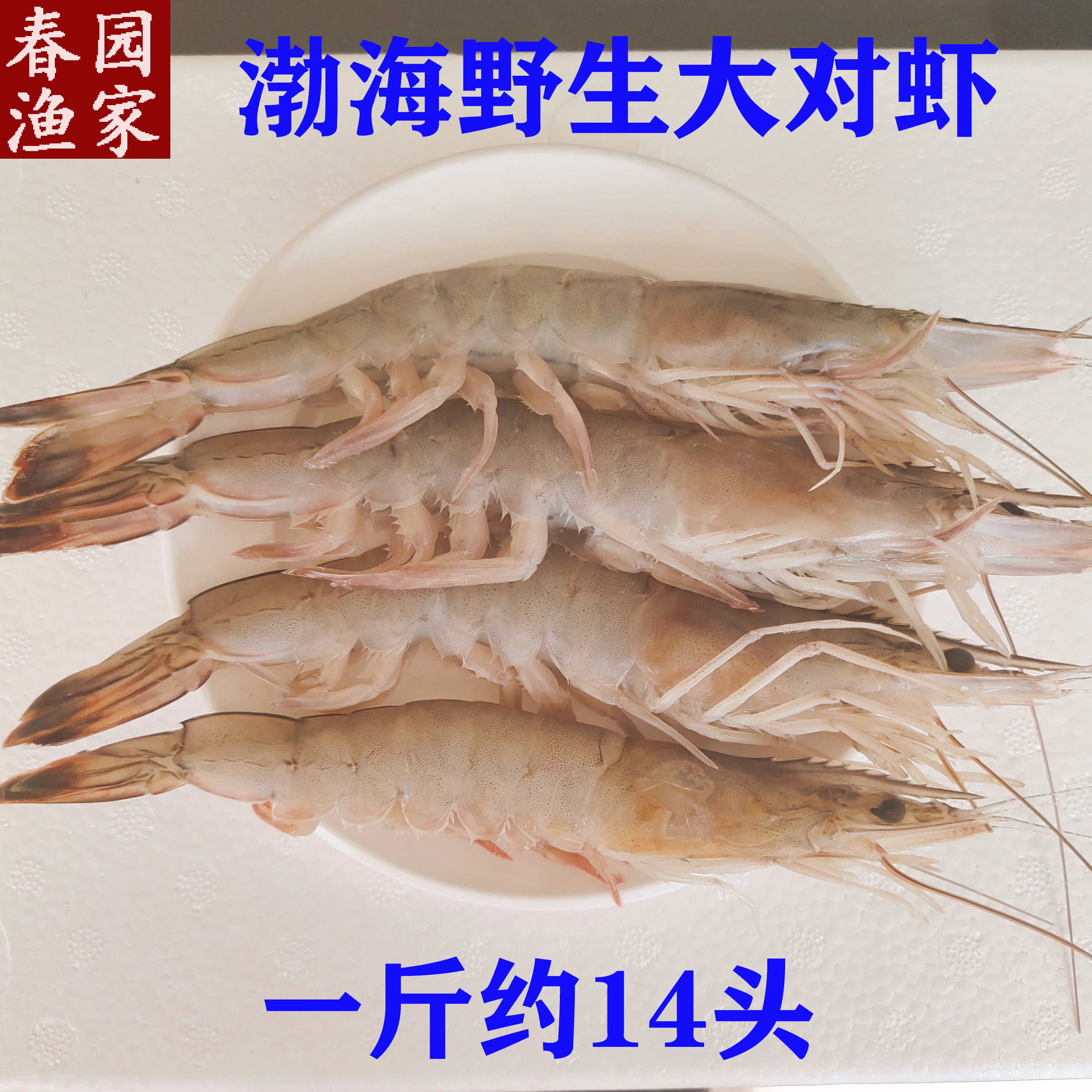 渤海湾特产野生海捕对虾500g海鲜鲜活冷冻水产超大海虾宝宝辅食