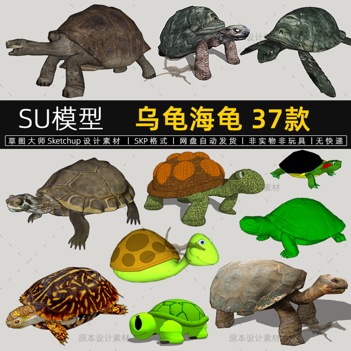 SU模型乌龟海龟两栖爬行动物卡通龟壳sketchup草图大师设计素材