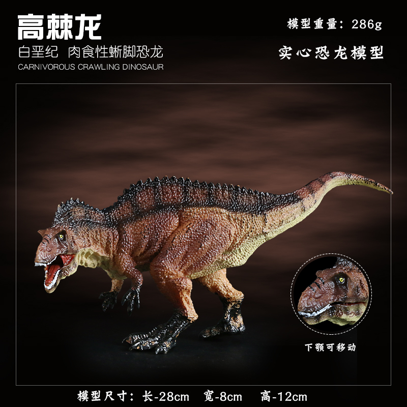 白垩纪兽脚类异特龙超科恐龙高棘龙模型儿童科教认知玩具仿真动物