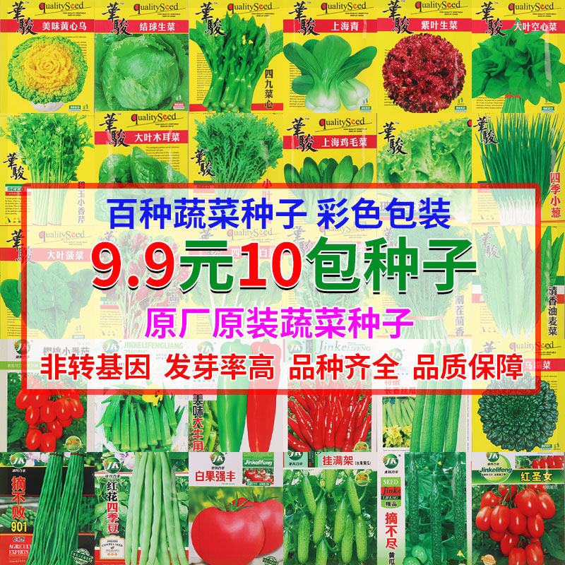四季蔬菜种子香菜黄瓜辣椒番茄葱小白菜非转基因田园菜籽阳台盆栽