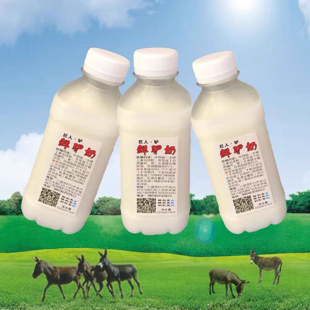 新鲜驴奶每天现挤天然驴奶全程冷链物流配送新疆自有牧场全国包邮