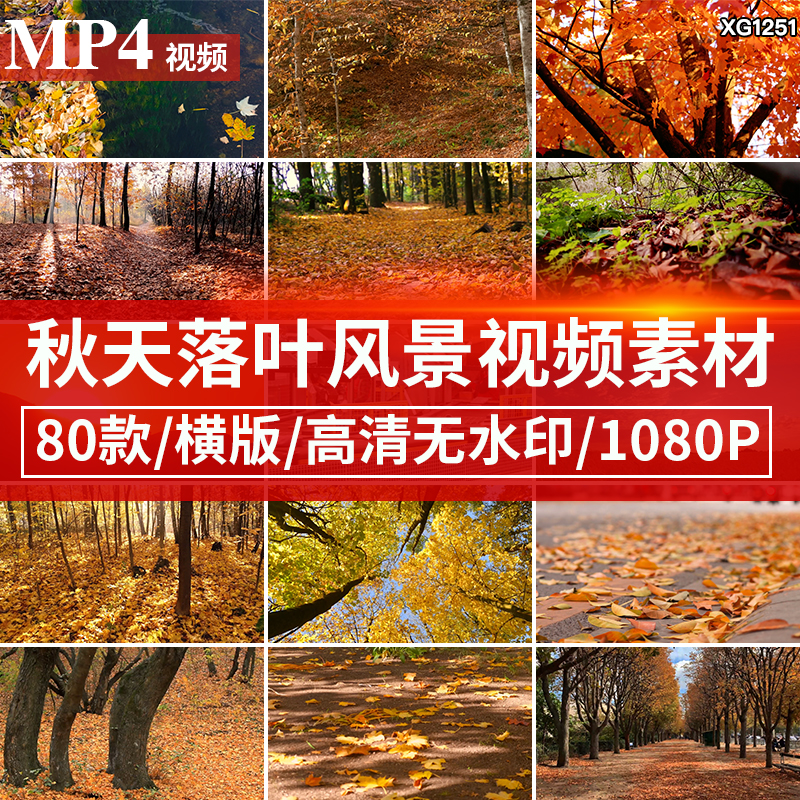 秋天风景唯美伤感怀旧落叶红叶树木枫叶凋零飘落自媒体短视频素材