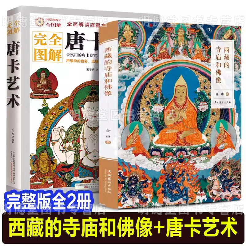 套装2册 完全图解唐卡艺术西藏的寺庙和佛像 西藏绘画研究藏传佛教岩画壁画唐卡艺术布达拉宫佛塔建筑石窟寺庙西藏美术之旅书籍