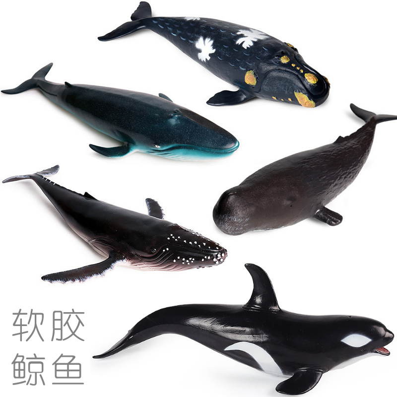 软胶充棉鲸鱼玩具海洋动物模型露脊鲸抹香鲸蓝鲸座头鲸虎鲸龙王鲸